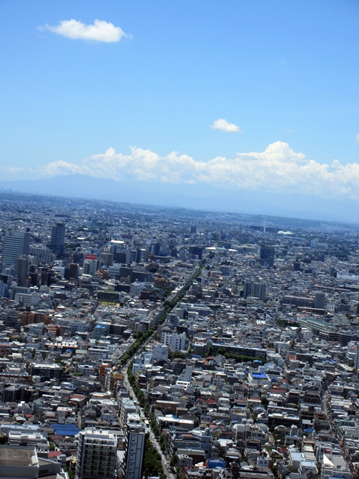 【パークハイアット東京】ピークランジでシグネチャースタンドのランチ_b0009849_19452142.jpg