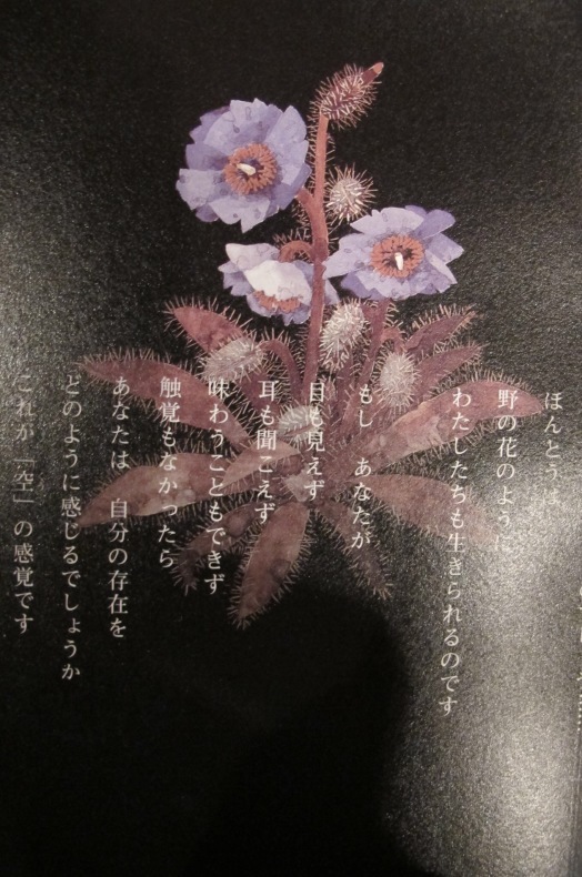 表現 (大阪編集教室そして それから)_f0389753_01215509.jpeg