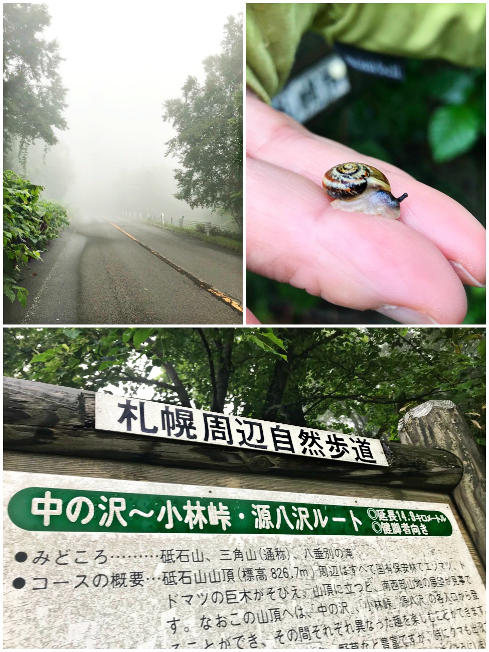 18 7 16 藻岩山 砥石山 Hair Garage Street かまぼこのひとり言 18 7 16 藻岩山 砥石山 Hair Garage Street かまぼこのひとり言