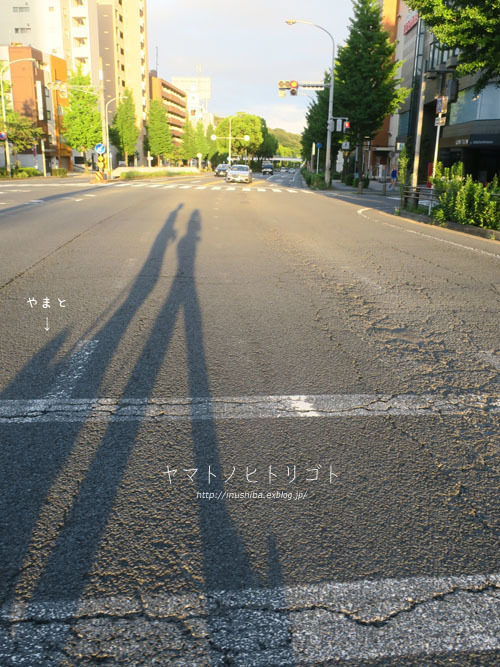 a0286855_08491727.jpg