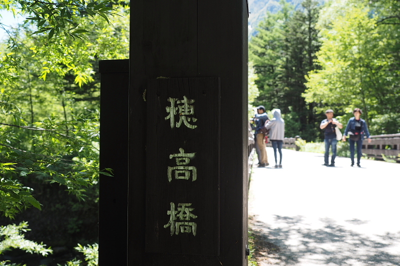 【Photo③】上高地　穂高橋～田代池と湿原_b0008655_17401387.jpg
