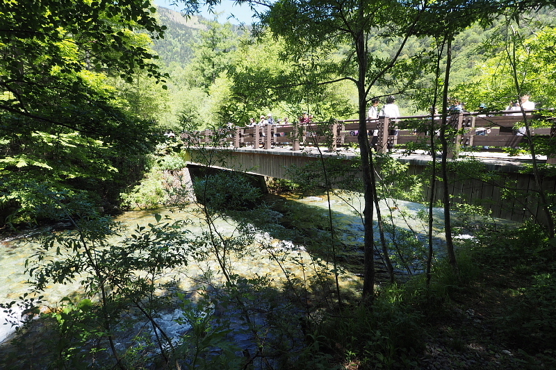 【Photo③】上高地　穂高橋～田代池と湿原_b0008655_17431749.jpg