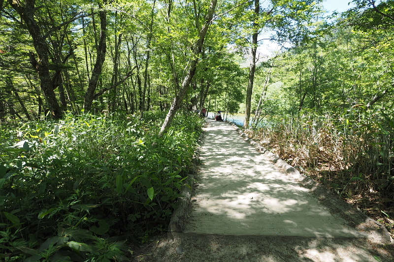 【Photo③】上高地　穂高橋～田代池と湿原_b0008655_17481313.jpg