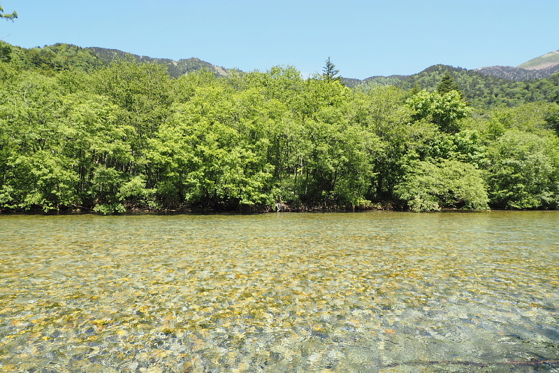 【Photo③】上高地　穂高橋～田代池と湿原_b0008655_17514193.jpg