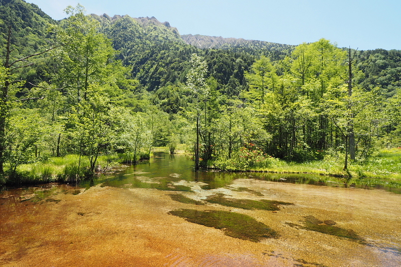 【Photo③】上高地　穂高橋～田代池と湿原_b0008655_17584802.jpg