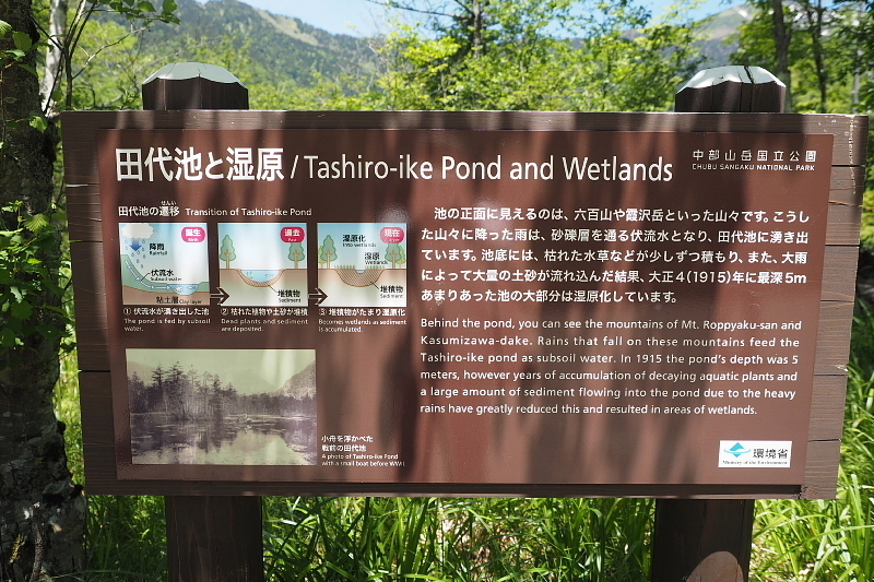 【Photo③】上高地　穂高橋～田代池と湿原_b0008655_18015792.jpg