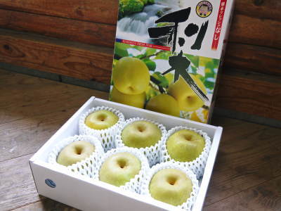 熊本梨 本藤果樹園 今年(令和2年)も匠の技で熊本限定栽培品種の梨『秋麗』が順調に育ってます!_a0254656_16221804.jpg