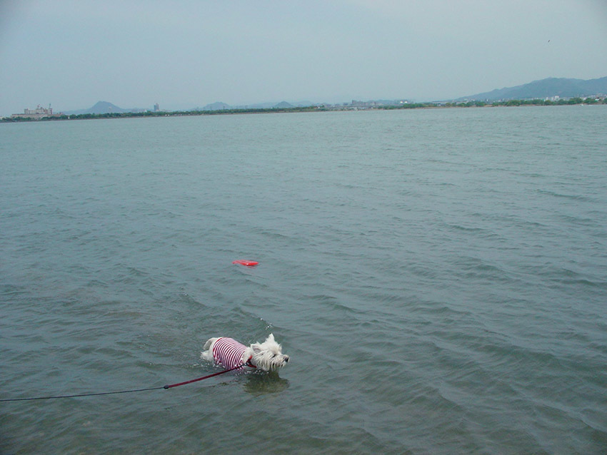 4月の琵琶湖。_b0107163_18330166.jpg