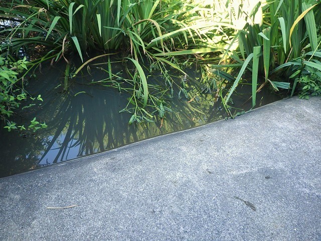 c0105569_01410635.jpg