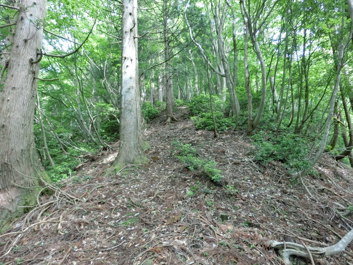 No487積雪で撤退　リベンジの兵庫但馬の床尾山_b0185573_1432651.jpg