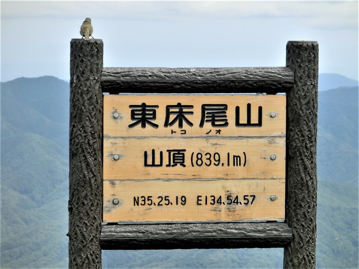 b0185573_16553818.jpg