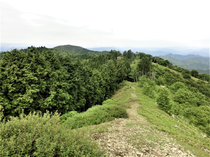 No487積雪で撤退　リベンジの兵庫但馬の床尾山_b0185573_173263.jpg