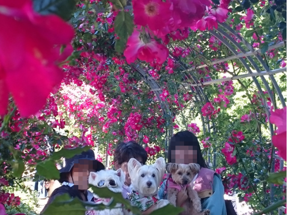 b0242873_08404257.png