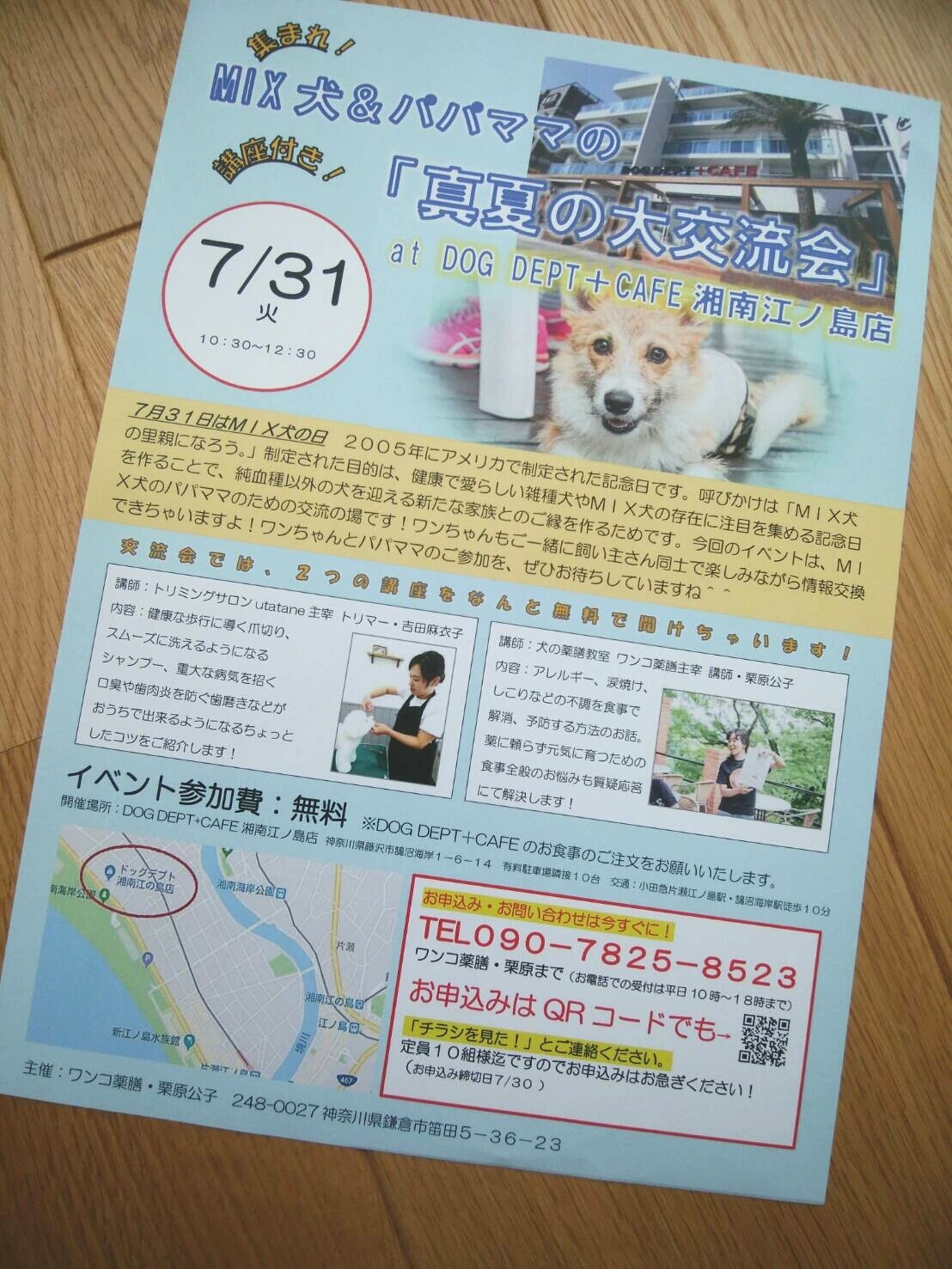 Dog Deptカフェ江ノ島店で開催のイベントのお知らせ 鎌倉の小さなトリミングルーム Utatane