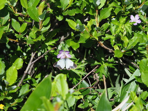 f0348480_09302916.jpg