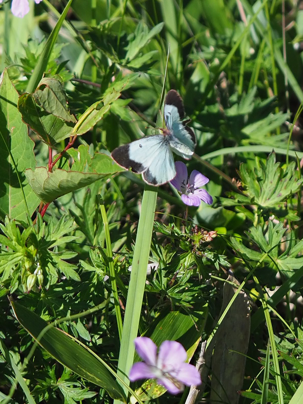 f0348480_09322362.jpg