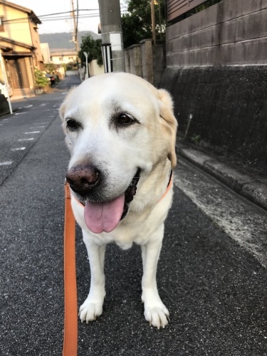 f0315081_21590486.jpeg