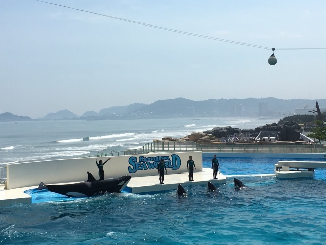 d0175983_14032470.jpeg