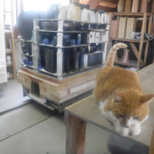 d0195183_21111658.jpeg
