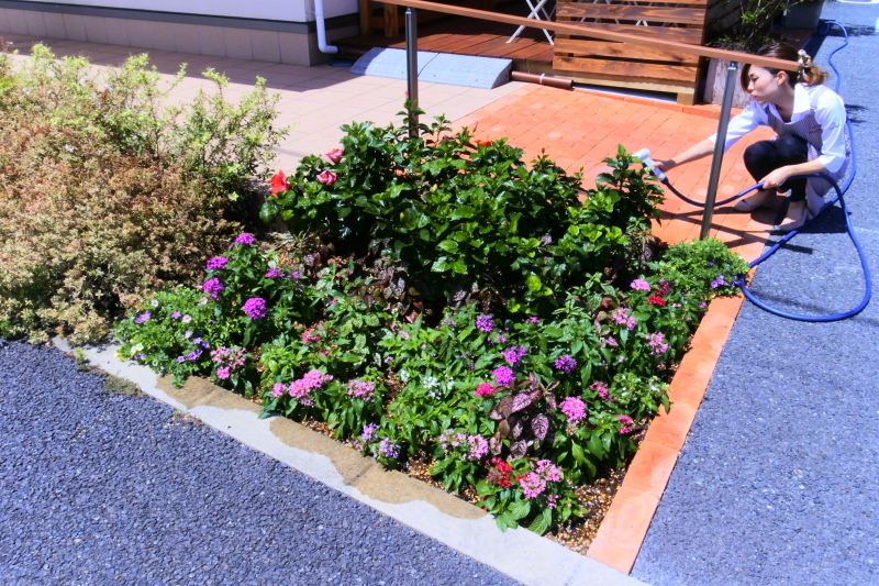 「ありがとう」と「ありがとう」_b0345088_18365342.jpg