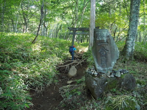 e0015490_20111231.jpg