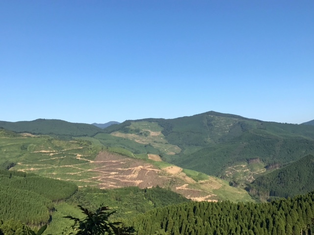 c0184491_10323820.jpg