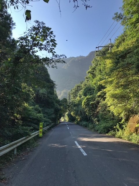 c0184491_10330022.jpg