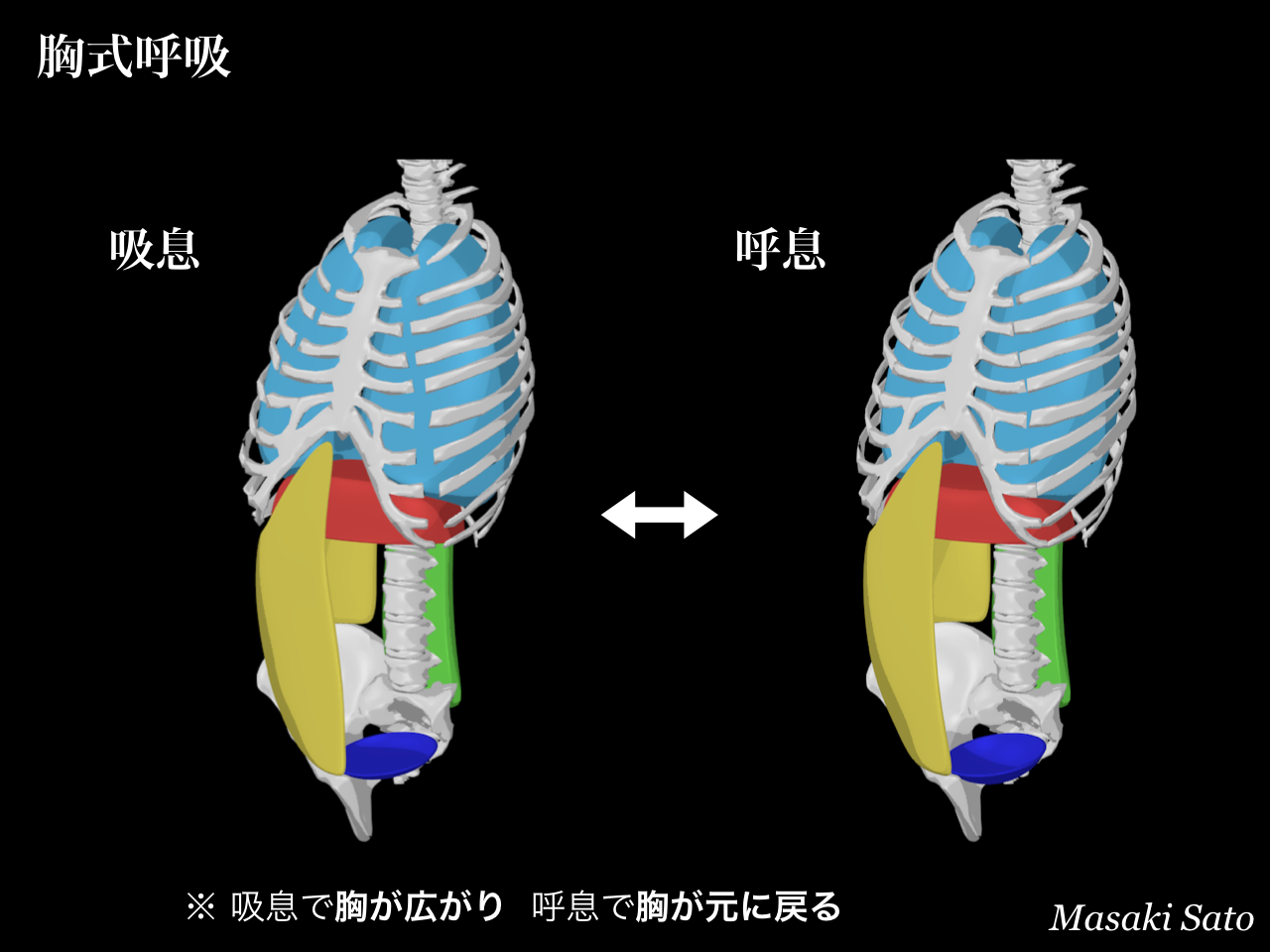 f0074992_10324629.png