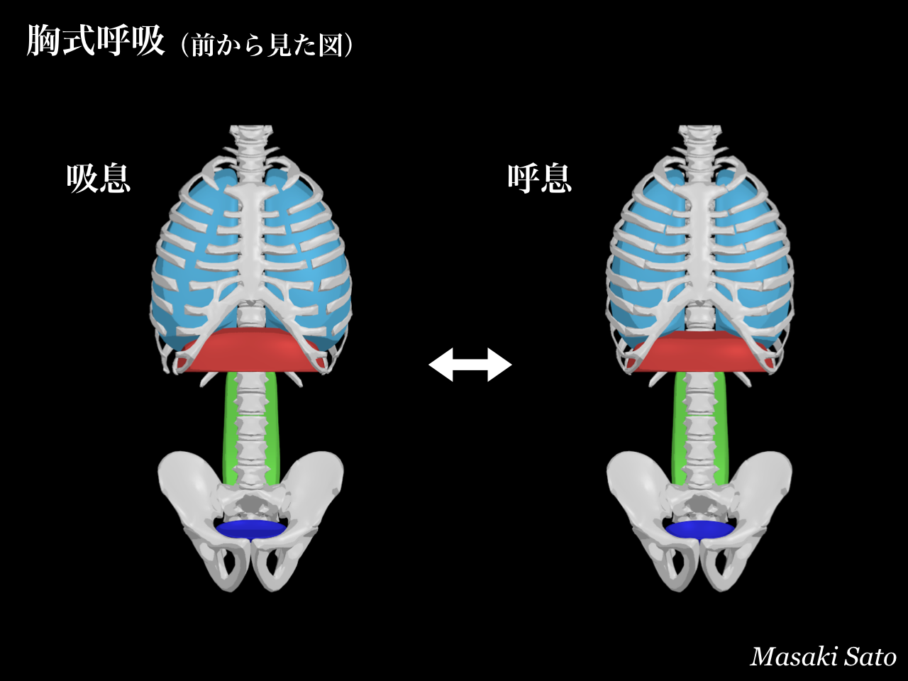 f0074992_10324665.png