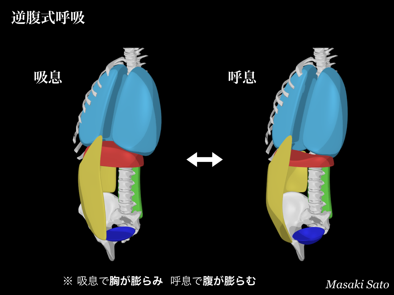 f0074992_10324667.png