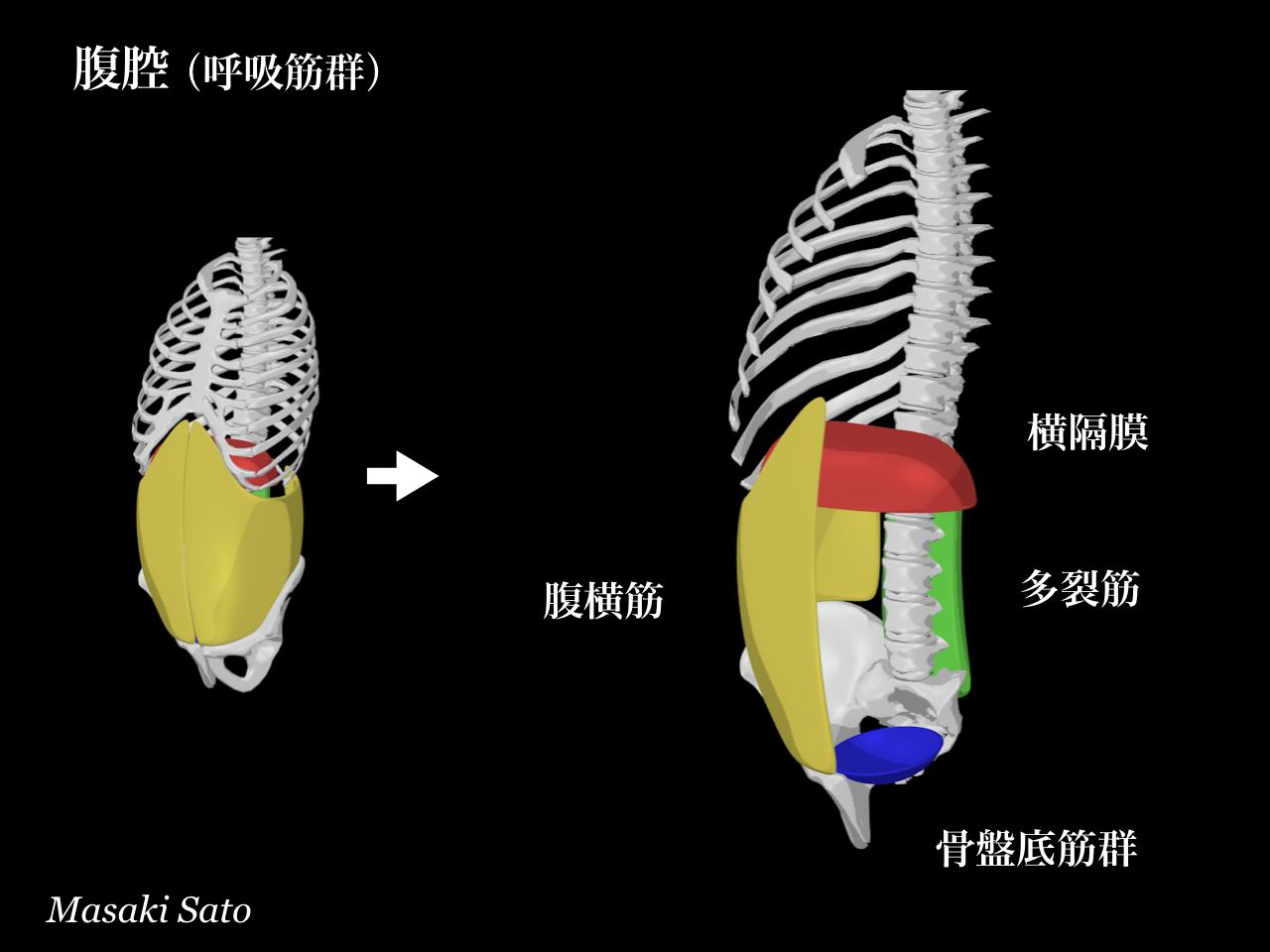 f0074992_10324715.png