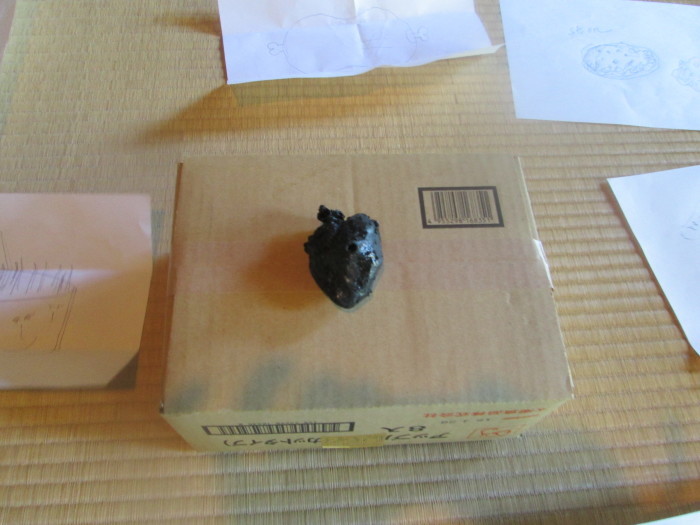 彦根市でアーテイストインレジデンス_c0100195_14582219.jpg