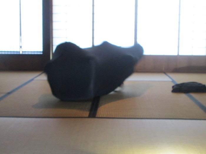 彦根市でアーテイストインレジデンス_c0100195_15062298.jpg