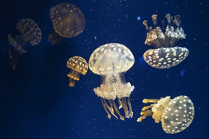 b0145398_23114281.jpg
