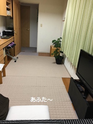 f0372998_22011026.jpg