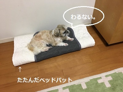 f0372998_22023352.jpg