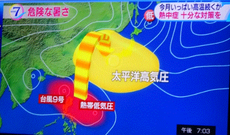 f0231709_21181643.gif