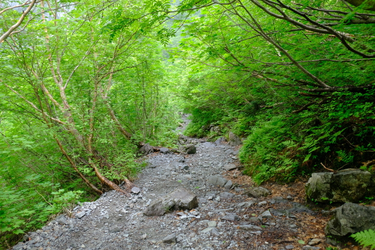 一人登山 前穂高岳 奥穂高岳_e0000910_10034405.jpg
