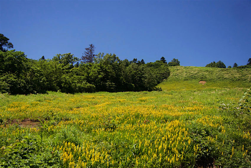 f0115214_12472052.jpg