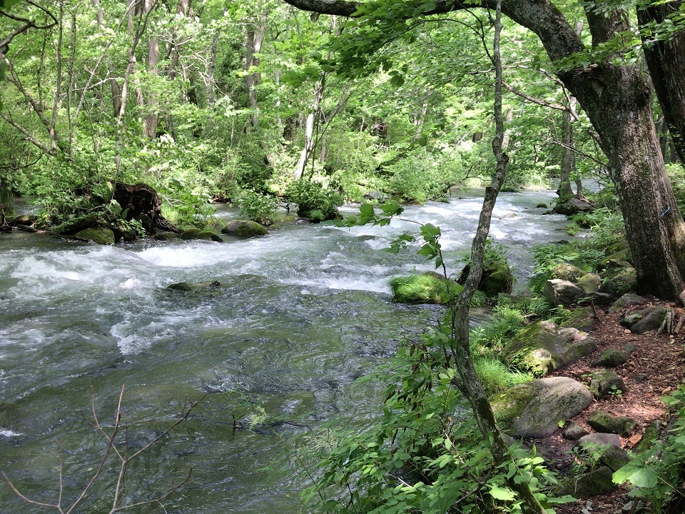 e0169920_10524621.jpg