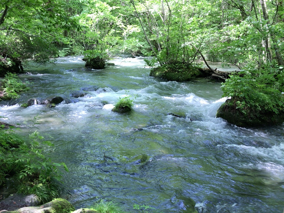 e0169920_10525337.jpg