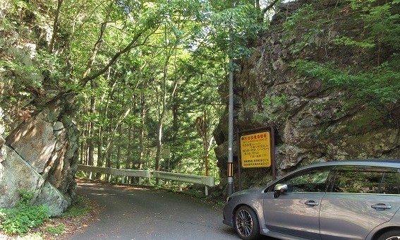 奥多摩 日原川水系 倉沢谷塩地谷でヨレヨレ沢登り Stream Climbing In Shiochidani Chichibu Tama Kai National Park やっぱり自然が好き