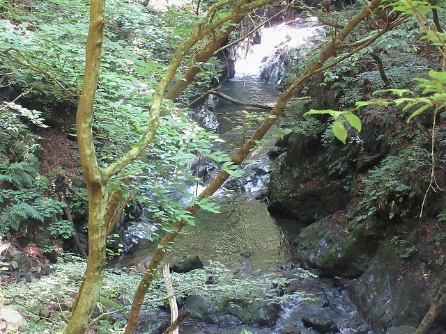 奥多摩 日原川水系 倉沢谷塩地谷でヨレヨレ沢登り Stream Climbing In Shiochidani Chichibu Tama Kai National Park やっぱり自然が好き 奥多摩 日原川水系 倉沢谷塩地谷でヨレヨレ沢登り Stream Climbing In Shiochidani Chichibu Tama Kai National Park やっぱり自然が好き