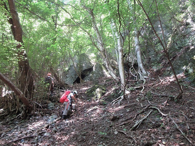 奥多摩 日原川水系 倉沢谷塩地谷でヨレヨレ沢登り Stream Climbing In Shiochidani Chichibu Tama Kai National Park やっぱり自然が好き 奥多摩 日原川水系 倉沢谷塩地谷でヨレヨレ沢登り Stream Climbing In Shiochidani Chichibu Tama Kai National Park やっぱり自然が好き