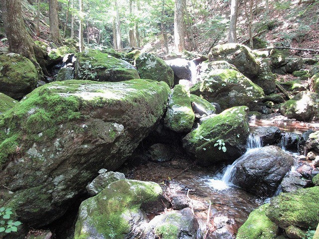 奥多摩 日原川水系 倉沢谷塩地谷でヨレヨレ沢登り Stream Climbing In Shiochidani Chichibu Tama Kai National Park やっぱり自然が好き 奥多摩 日原川水系 倉沢谷塩地谷でヨレヨレ沢登り Stream Climbing In Shiochidani Chichibu Tama Kai National Park やっぱり自然が好き