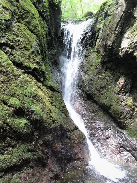 奥多摩 日原川水系 倉沢谷塩地谷でヨレヨレ沢登り Stream Climbing In Shiochidani Chichibu Tama Kai National Park やっぱり自然が好き 奥多摩 日原川水系 倉沢谷塩地谷でヨレヨレ沢登り Stream Climbing In Shiochidani Chichibu Tama Kai National Park やっぱり自然が好き