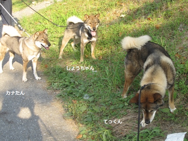 f0143123_09270035.jpg