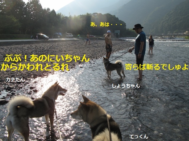 f0143123_09273520.jpg