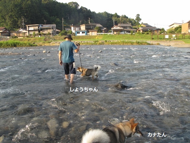 f0143123_09395402.jpg