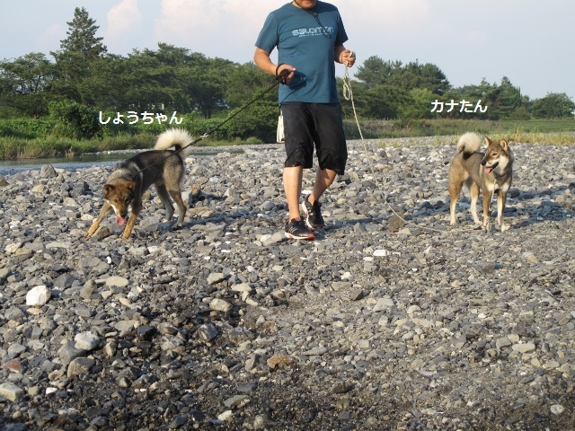 f0143123_09461930.jpg